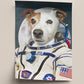 Personligt husdjursporträtt - Astronauten